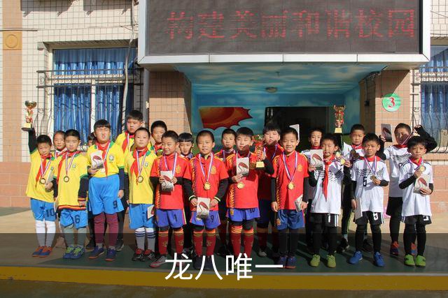 龙八唯一平台介绍图片